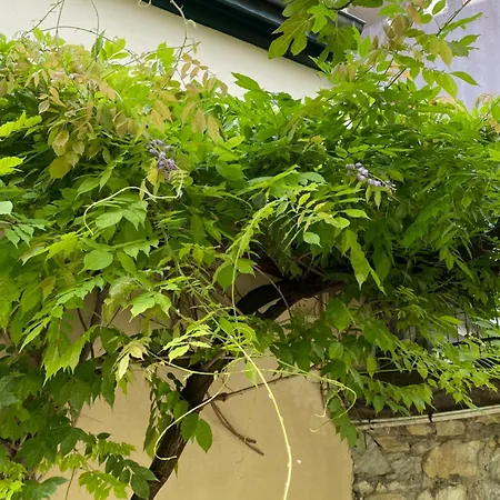 Gasthof La Chorier 3*