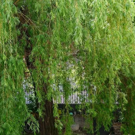 La Chorier Konukevi 3*